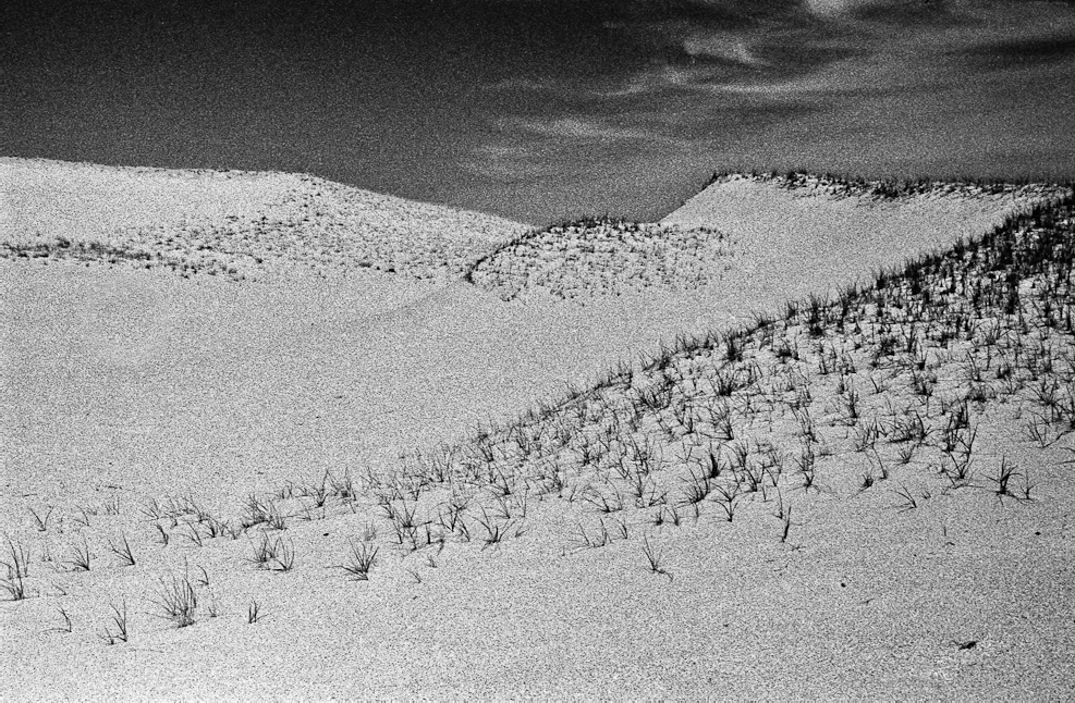 Cape Cod Dunes