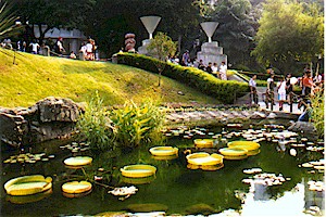 hkpark1.jpg (39759 bytes)