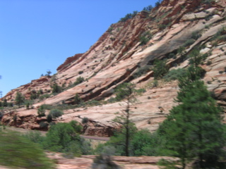 Zion Landscape