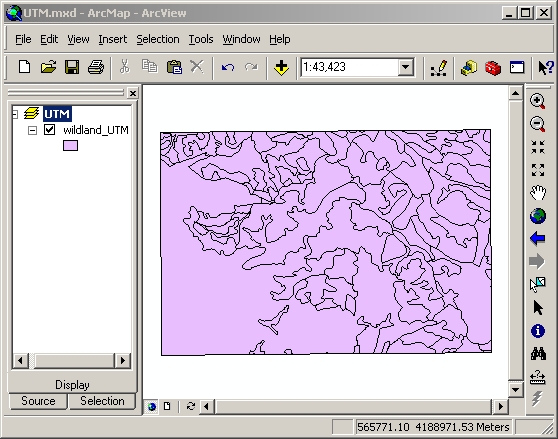 veg layer in UTM coords