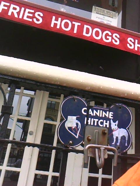 canine-hitch-hot-dogs