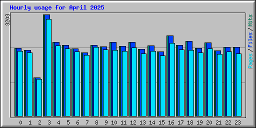 Hourly usage for April 2025