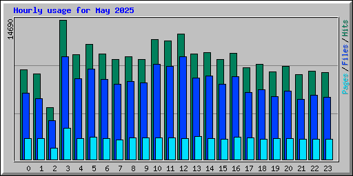 Hourly usage for May 2025