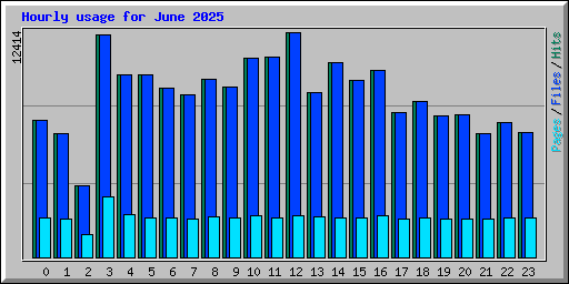 Hourly usage for June 2025