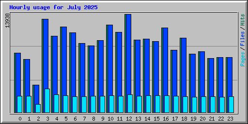 Hourly usage for July 2025