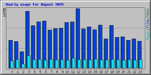 Hourly usage for August 2025