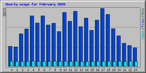 Hourly usage for February 2026