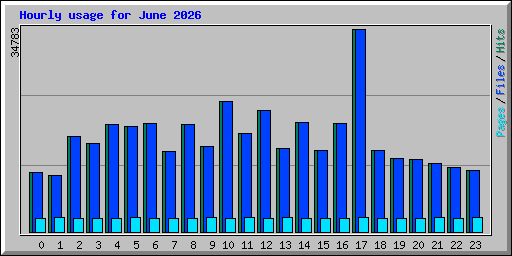 Hourly usage for June 2026