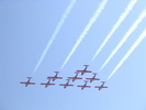 Snowbirds