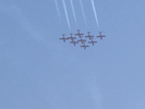 Snowbirds