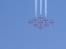 Snowbirds