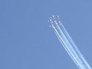 Snowbirds