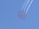 Snowbirds