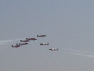 Snowbirds