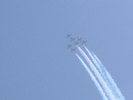 Snowbirds