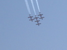 Snowbirds