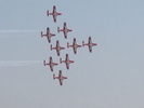 Snowbirds