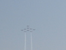 Snowbirds