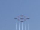 Snowbirds