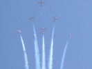 Snowbirds