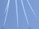 Snowbirds