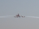 Snowbirds