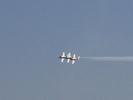 Snowbirds