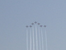 Snowbirds