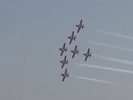 Snowbirds