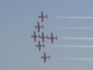 Snowbirds