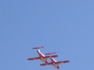 Snowbirds