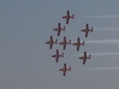 Snowbirds