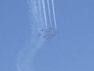 Snowbirds