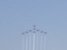 Snowbirds