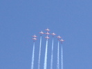 Snowbirds