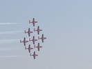 Snowbirds