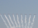 Snowbirds